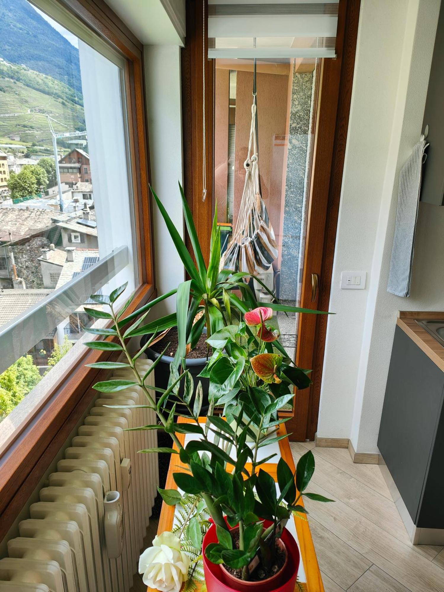 Apartamento Alfiumea Tirano Exterior foto