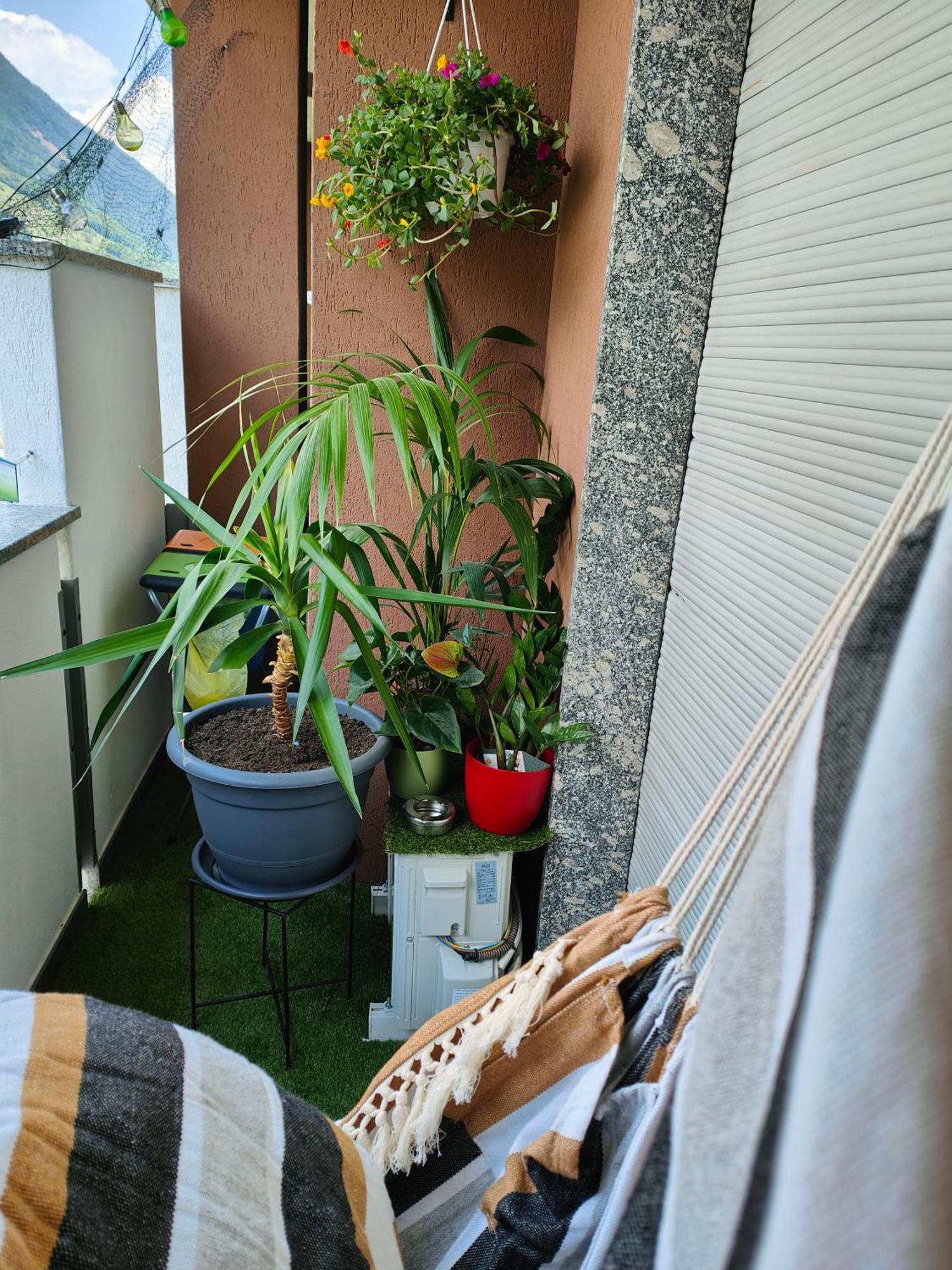 Apartamento Alfiumea Tirano Exterior foto